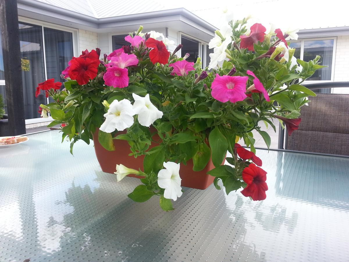 Kaiapoi Courtenay B & B מראה חיצוני תמונה